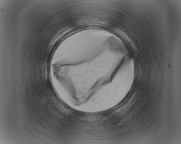 X0000085730782200704091443