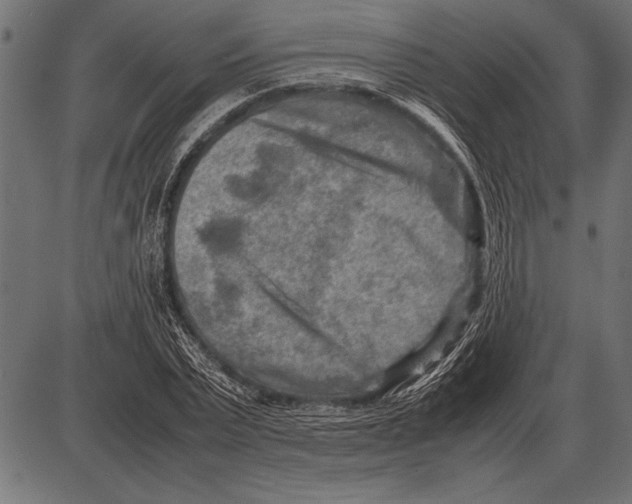 X0000085730783200704091443