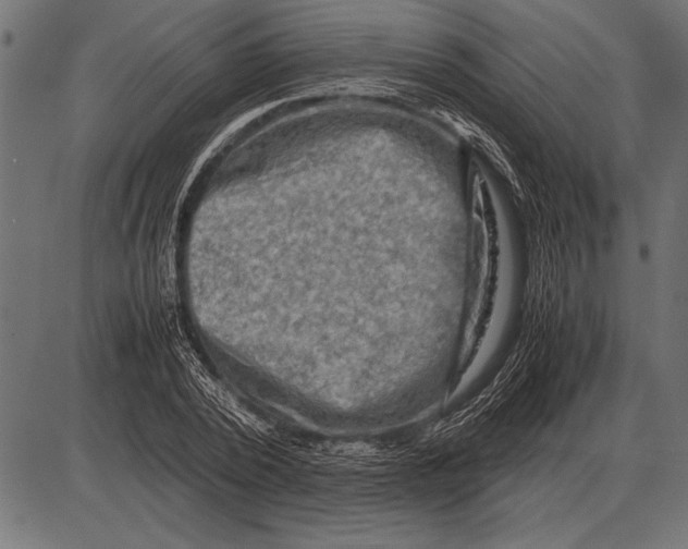 X0000085730784200704091443