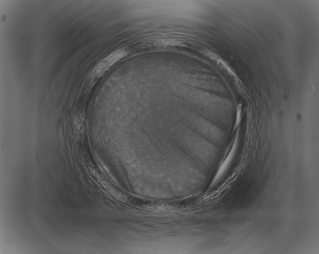 X0000085730785200704091443