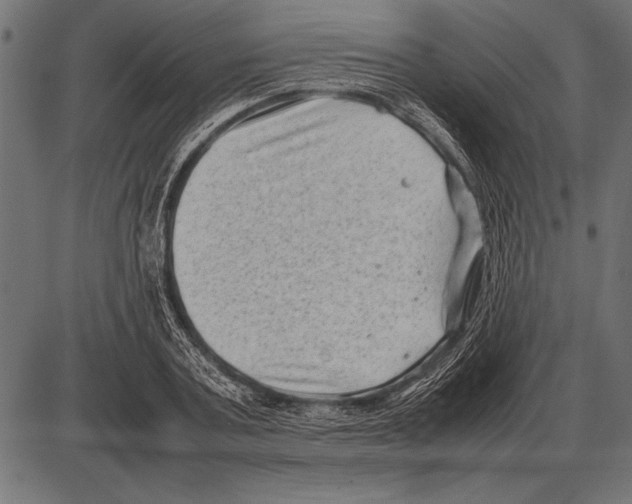 X0000085730787200704091443