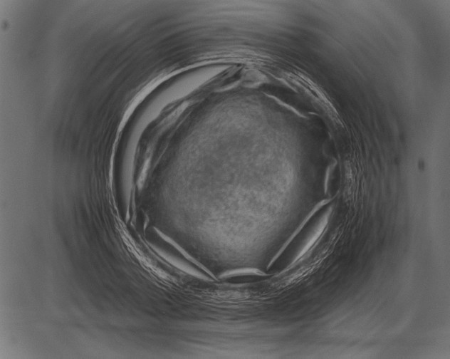 X0000085730788200704091443