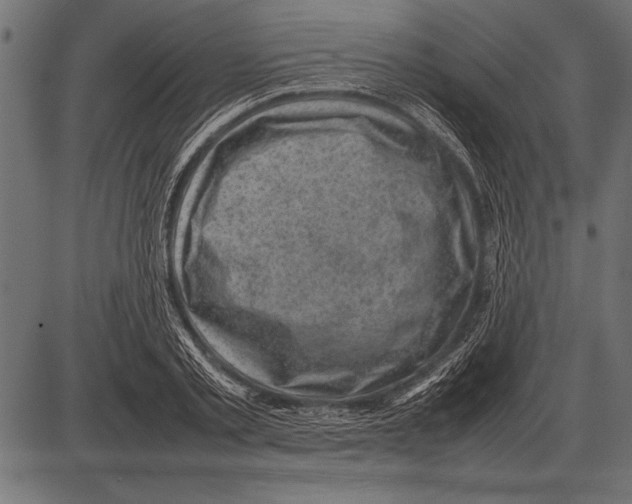 X0000085730789200704091443