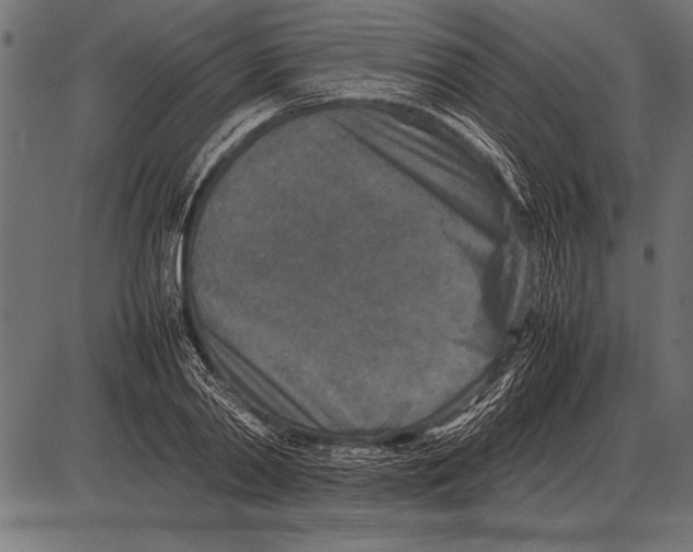 X0000085730790200704091443