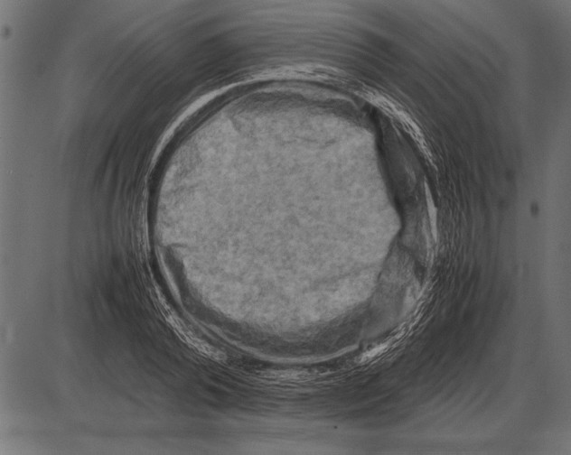 X0000085730792200704091443