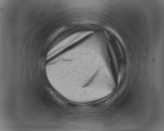 X0000085730793200704091443