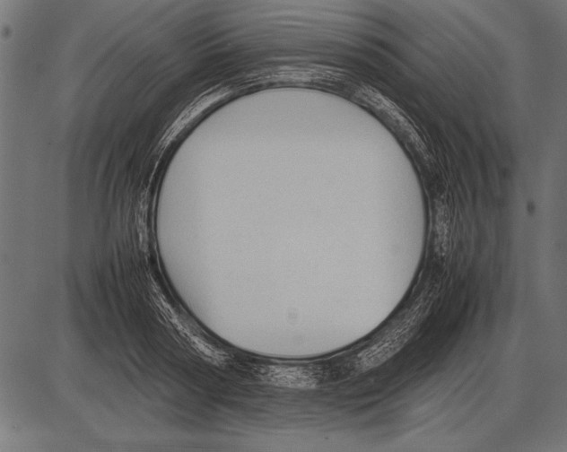 X0000085730794200704091443