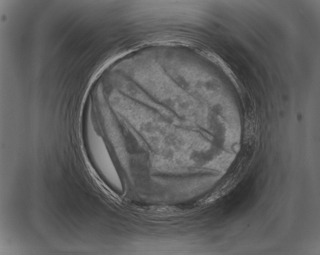 X0000085730795200704091443