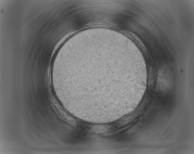 X0000085730796200704091443