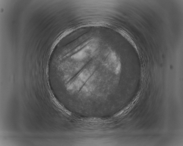 X0000085730797200704091443