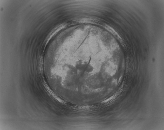 X0000085730798200704091443