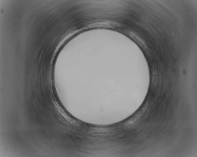 X0000085730800200704091443