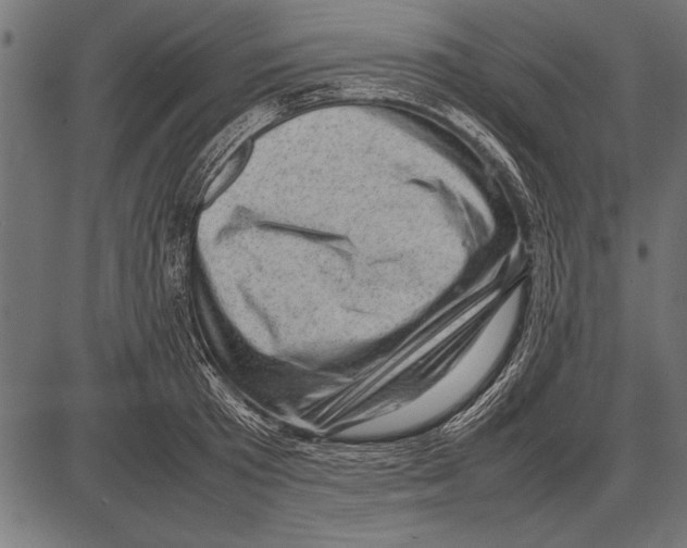 X0000085730801200704091443