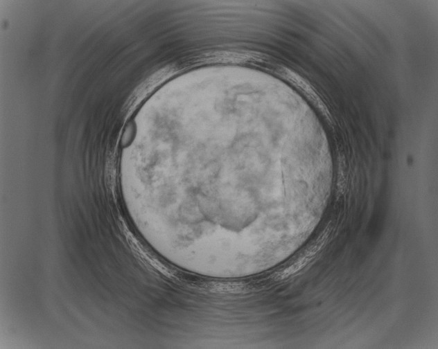 X0000085730802200704091443