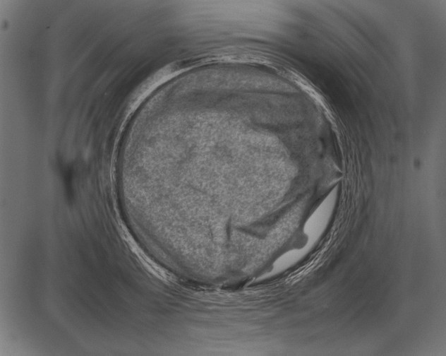 X0000085730803200704091443