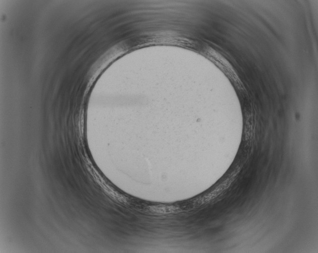 X0000085730804200704091443