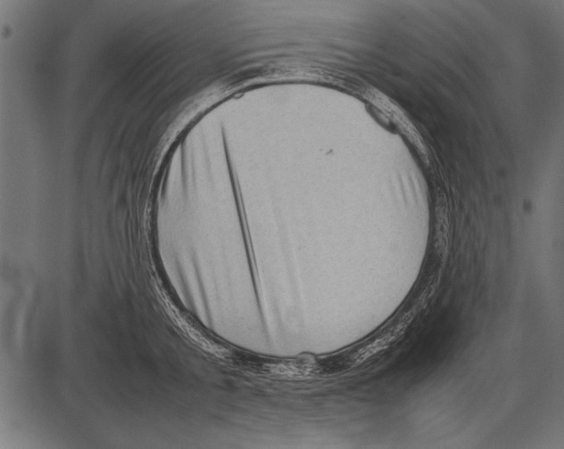 X0000085730805200704091443