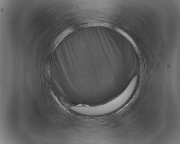 X0000085730809200704091442