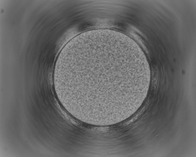 X0000085730810200704091442