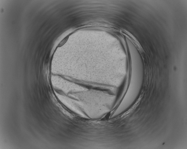 X0000085730812200704091442