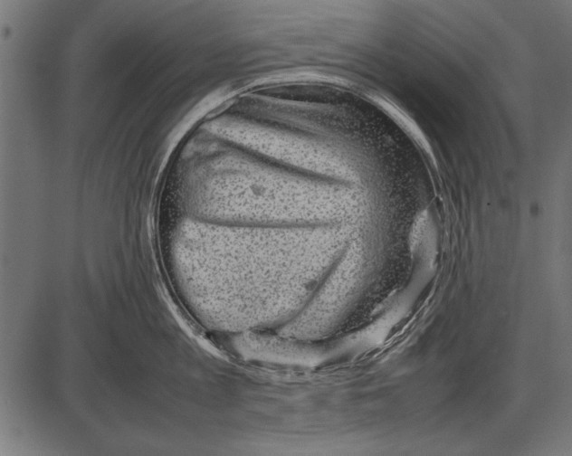 X0000085730813200704091442