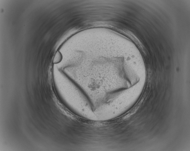 X0000085730814200704091442