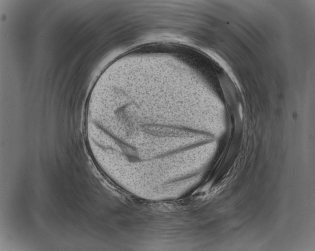 X0000085730815200704091442