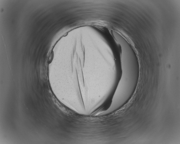 X0000085730816200704091442