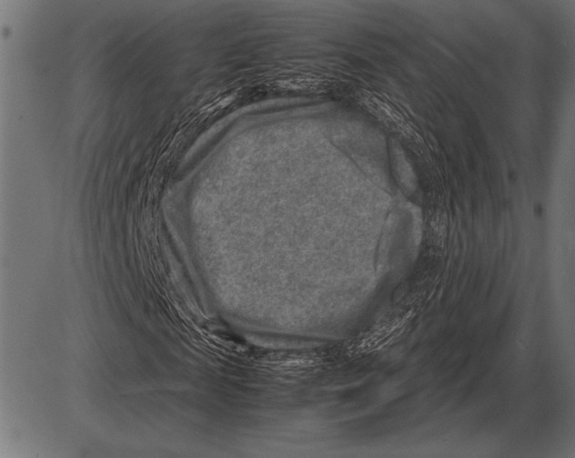 X0000085730817200704091442