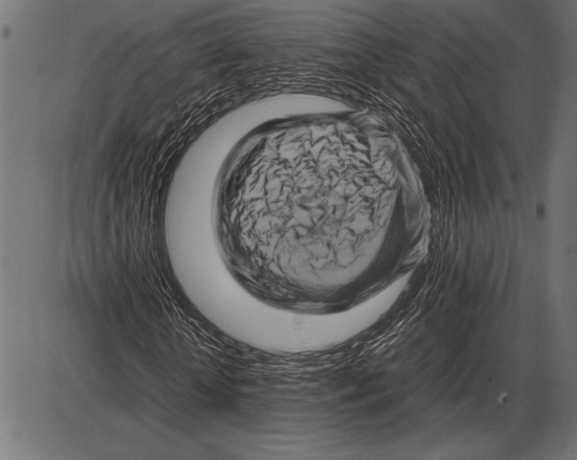 X0000085730818200704091442