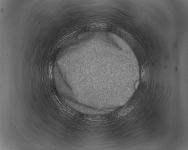 X0000085730819200704091442