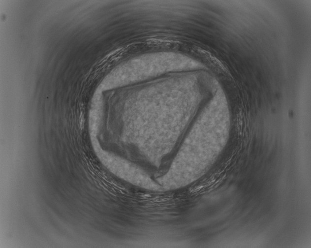 X0000085730821200704091442