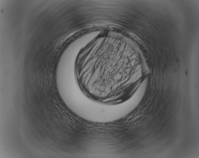 X0000085730822200704091442