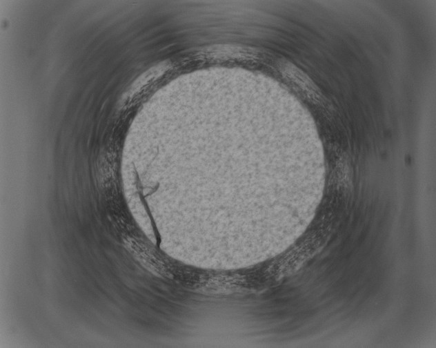 X0000085730824200704091442