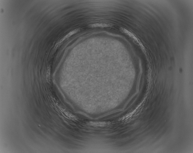 X0000085730825200704091442