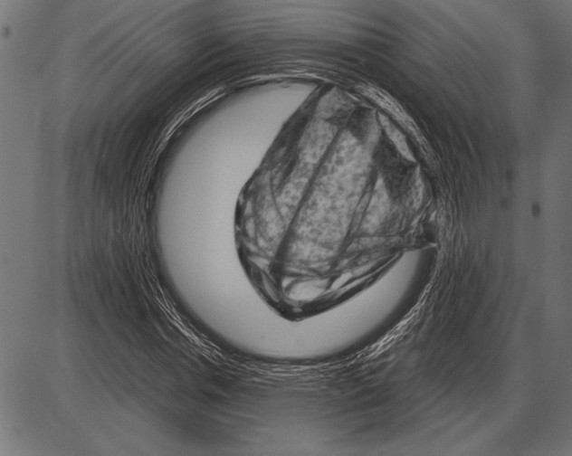 X0000085730826200704091442