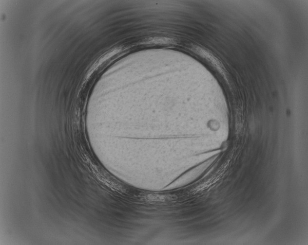 X0000085730827200704091442