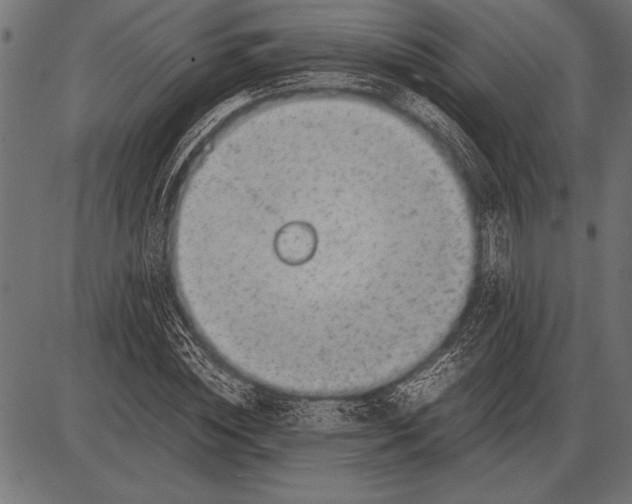 X0000085730828200704091442