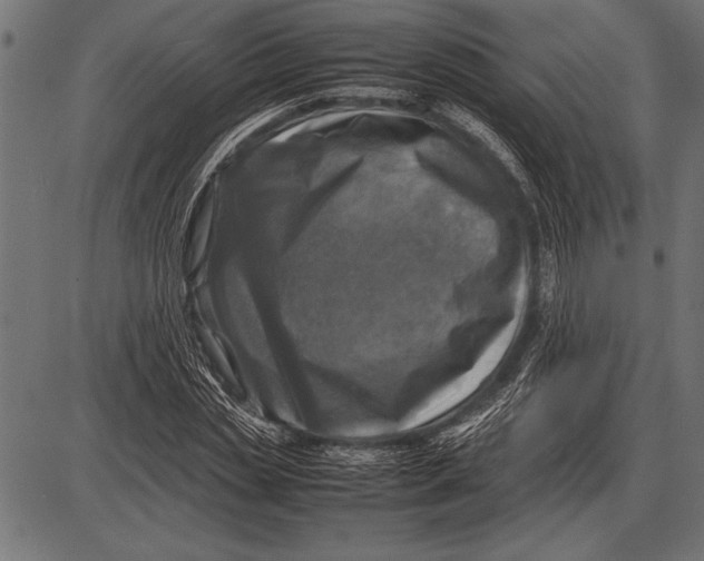 X0000085730829200704091442