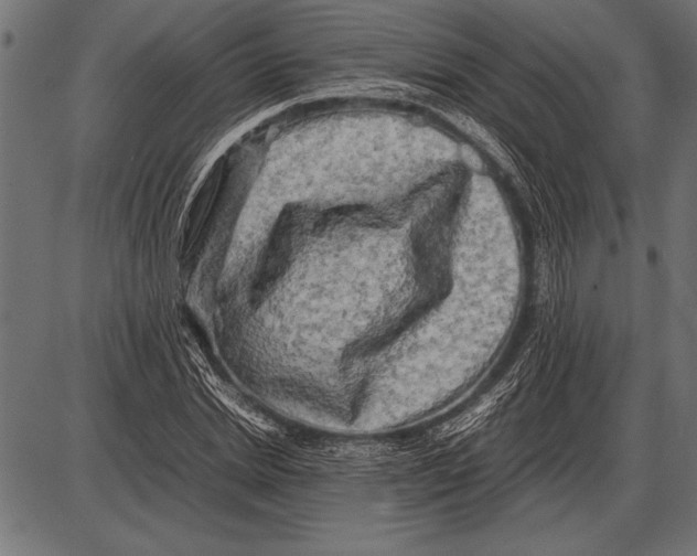 X0000085730830200704091442