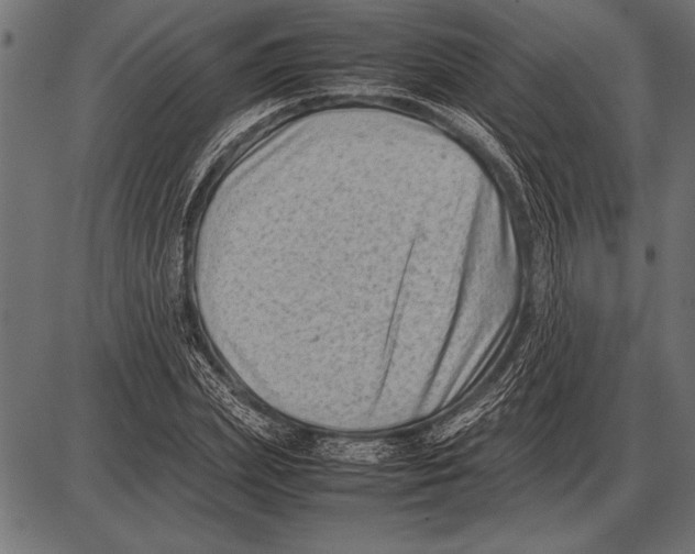 X0000085730831200704091442