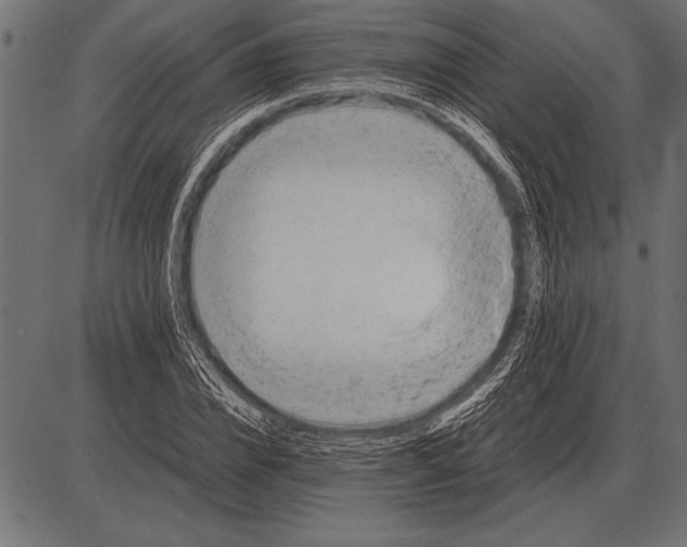 X0000085730832200704091442