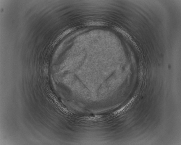 X0000085730833200704091442