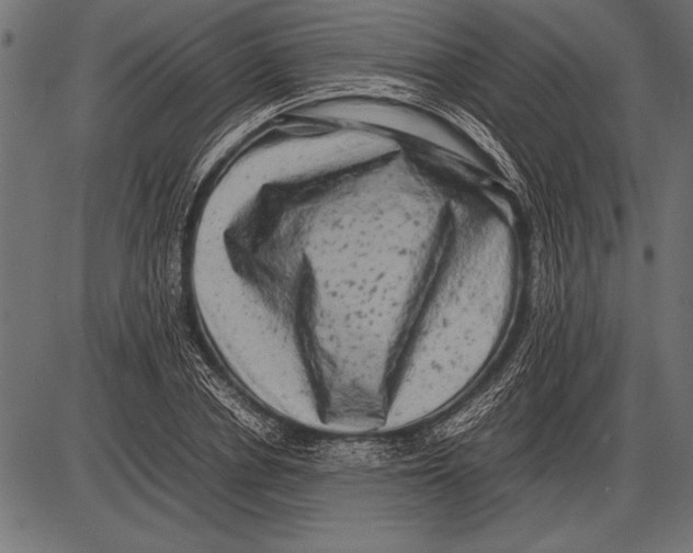 X0000085730834200704091442