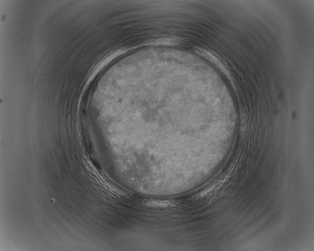 X0000085730835200704091442