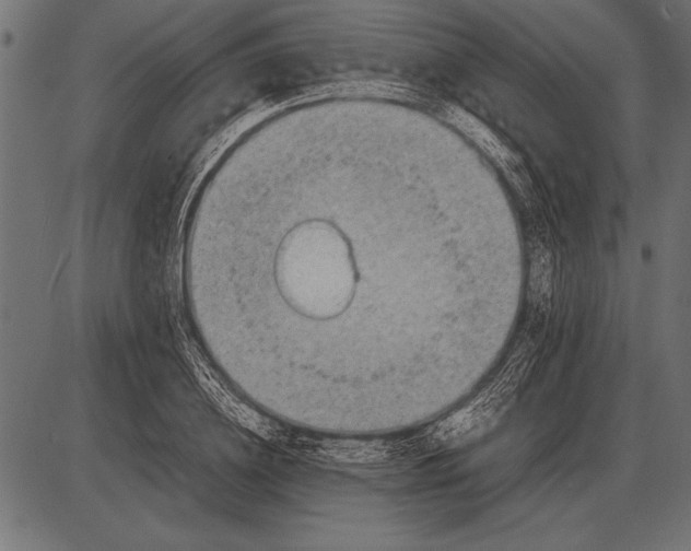 X0000085730836200704091442