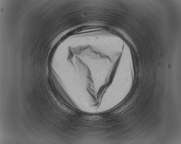 X0000085730837200704091442