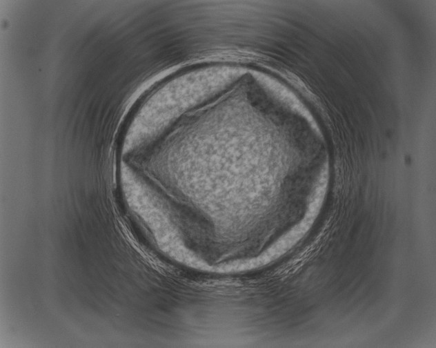 X0000085730838200704091442