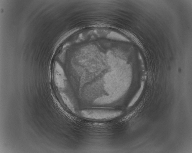 X0000085730839200704091442