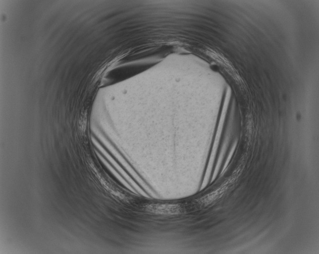 X0000085730841200704091442